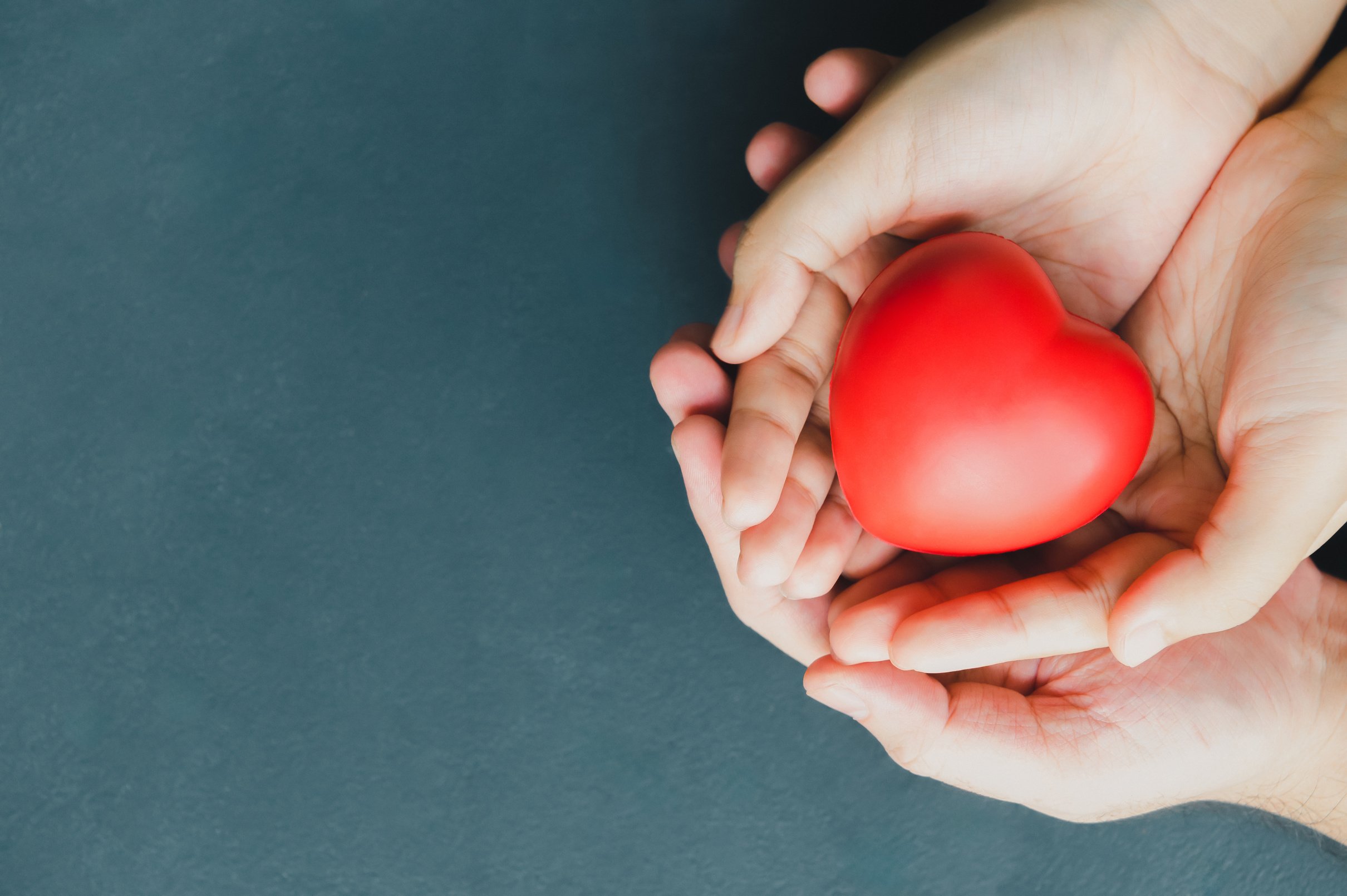 Couple family hands holding red heart. Foster health insurance adoptive organ donation. Happy volunteer charity CSR social responsibility. World health day and World heart day mental day theme.